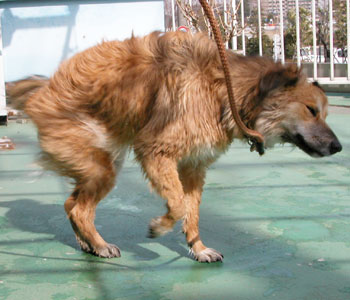 �����Ȃ񂾂Ă�