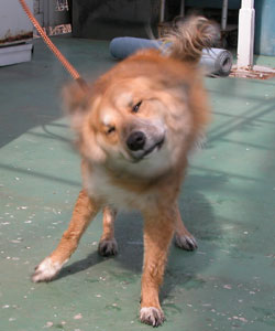 �Ђ������Ă��I