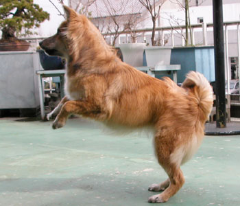 ���C�̂��Ƃ͖\���