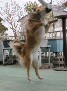 ��т��Ă��