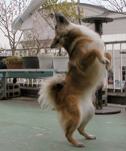 �ʁI����������