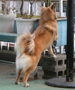 ���������Ƃ܂��T������