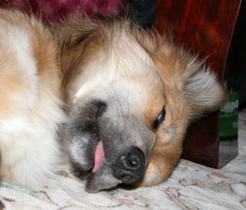 �Q�Ȃ���u����A����A����v�ƌ���