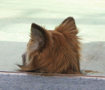 �����őҋ@