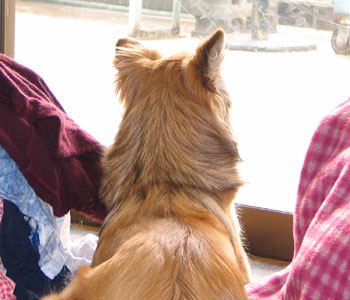 ���󕨂������Ƃ��͊O�ɏo��`�����X