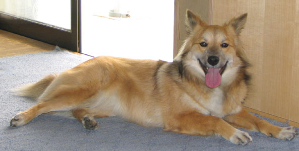 �΂��Ă�񂶂�Ȃ��āA�K�E�K�E�ő��؂�