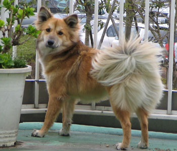 �Ă΂ꂽ���炸�ɐU������Ăق����񂾂���