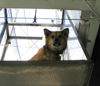 ���ꂩ��U���Ȃ�