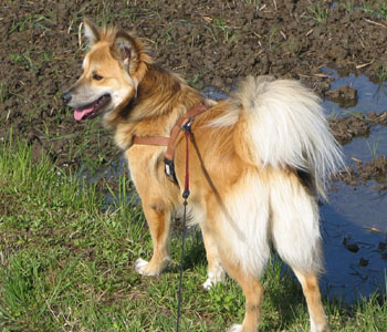 �J�オ��͐����܂肪�����ĕ����ɂ���