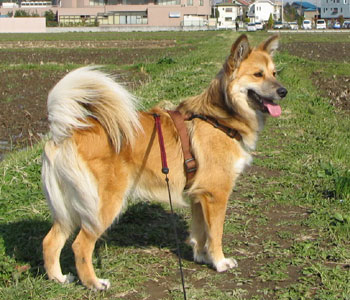 �ł������͂��ꂽ��