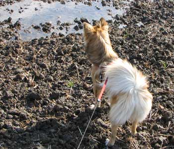 ���B�����ɂȂ��Ă�