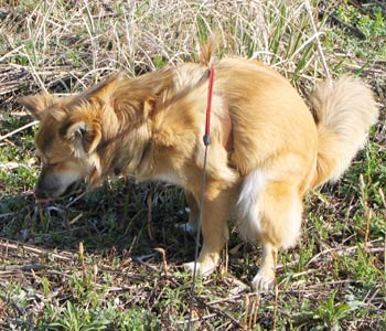 ��Ȃ߂��肾���ǐH�����ł͂Ȃ�