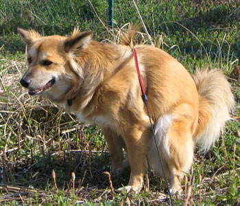 �������A�����������