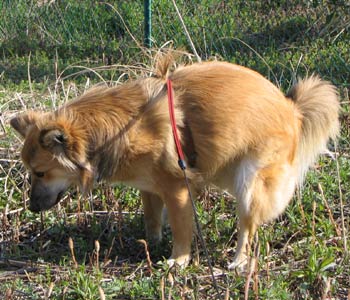 �ӂ��A�o���o��