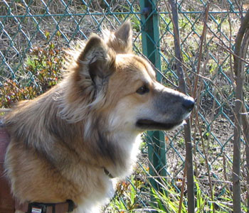 �������肵�Ă܂��������