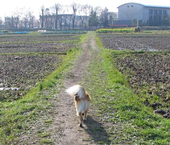 ���������Ă��Z��n�Ȃ񂾂�