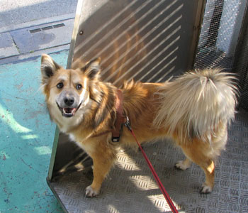 ����􂢏I������玩��������