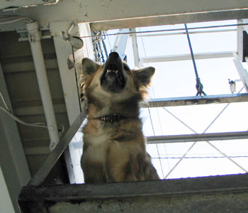 ���̂��ƃK�E�K�E������U���Z�b�g�͏I���