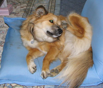 �������䂢