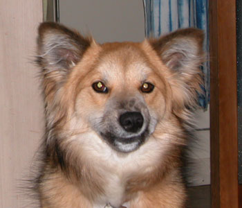 �ʂɓ{���Ă�킯����Ȃ����ǂ�