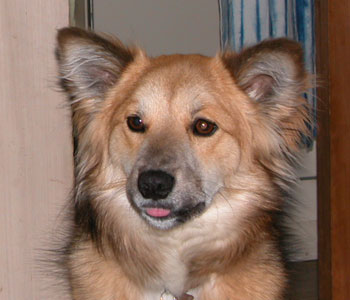 �܂��o�J���ۂ���Ƃ�ꂿ�����