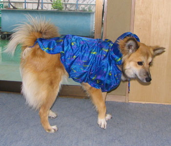 �����Ă��班������ĐK���͂ݏo��