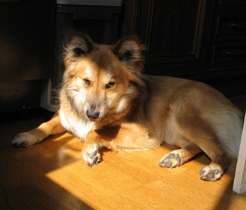 �ƂŗB��̓��Ȃ���������