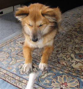 �q������Ȃ��񂾂���E�E�E