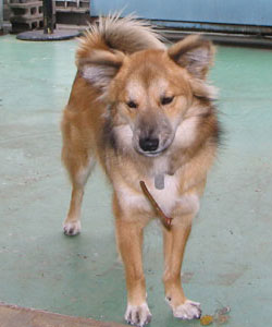 ���A���Ƃ���