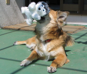 �������������Ă�����