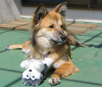 �����ŐQ��͉̂Ă���Ȃ��H