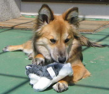 ��������ł�����