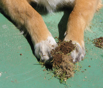 �ق�A������