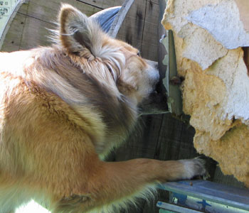 �����Ԃ͂����Ă��܂���