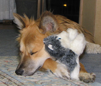 ��������ɐQ�Ă����悤