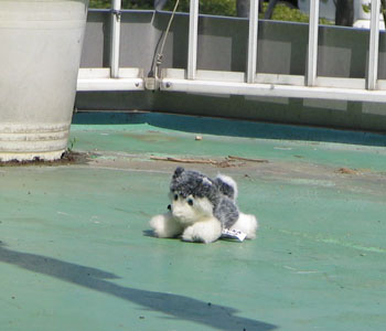 �ł��悭�u������ɂ�����