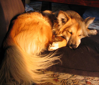 �ӊO�ɂ�������̎d���̓W���}���Ȃ�