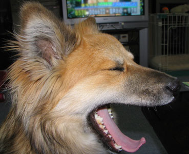 �����т͉������Ȃ�