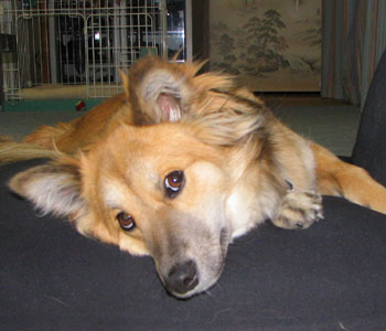 �@������Q��