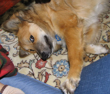 ���܂ɍ��֎q�ɂ��������