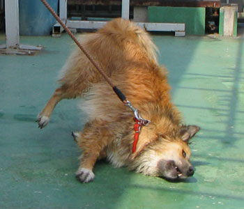 �܂����ꂽ