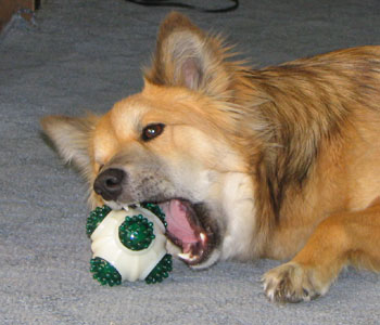 �V�������肨������