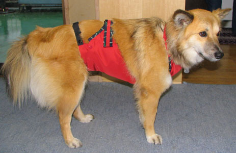 �Ȃ�ƕ������܂�