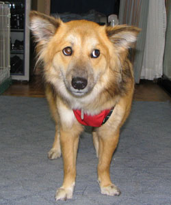 ���������񂶂�Ȃ��H