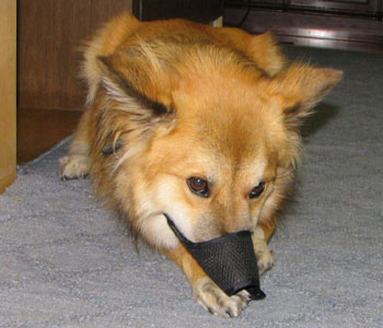 ���ցE�E�E�i�������Ȃ񂾂���