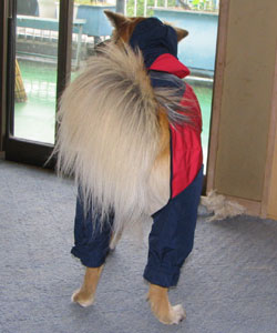 �������J�̓���