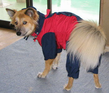 �����񂾂���s������