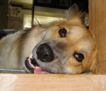 �K�E�K�E�Ŕ��Đオ�����