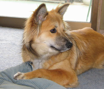 ���ԂƂ񂩂�����܂�����Ă���