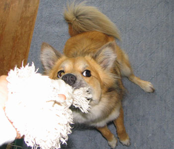 �K�E�K�E�r���ɂ悻��